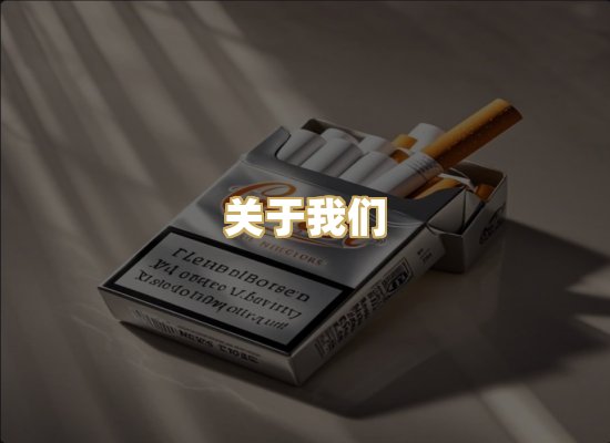 关于我们